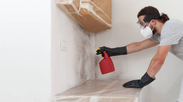 Professional Mold Remediation technician working in Mahaffey, PA